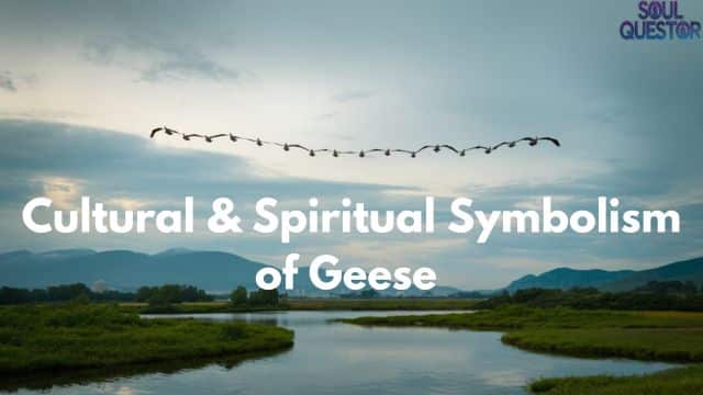 Cultural & Spiritual Symbolism of Geese