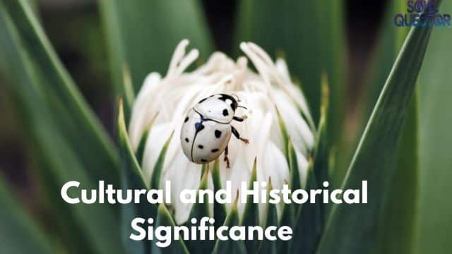 Cultural and Historical Significance