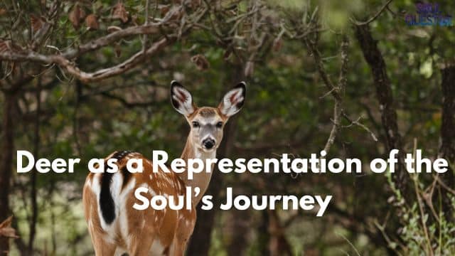 Deer as a Representation of the Soul’s Journey