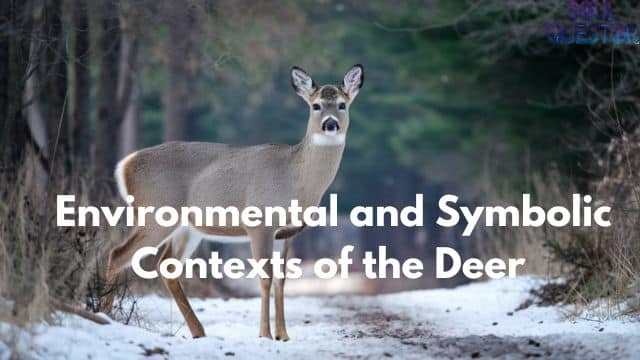 Environmental and Symbolic Contexts of the Deer