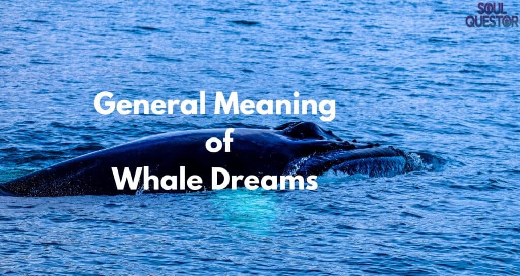 General Meaning of Whale Dreams