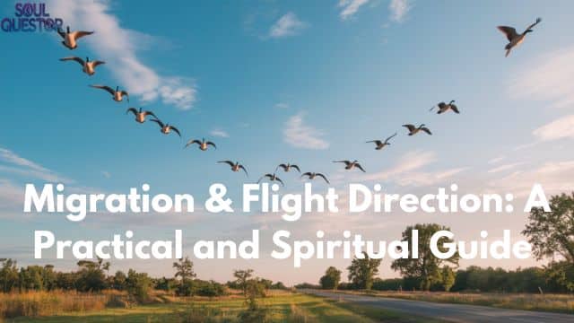 Migration & Flight Direction A Practical and Spiritual Guide