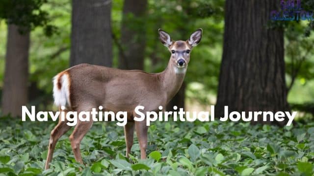 Navigating Spiritual Journey