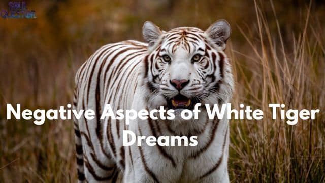 Negative Aspects of White Tiger Dreams