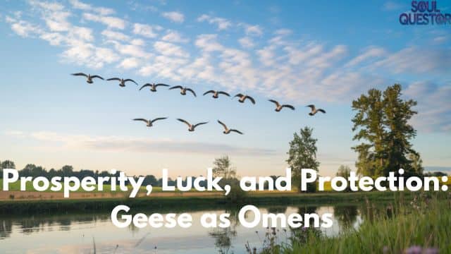 Prosperity, Luck, and Protection: Geese as Omens