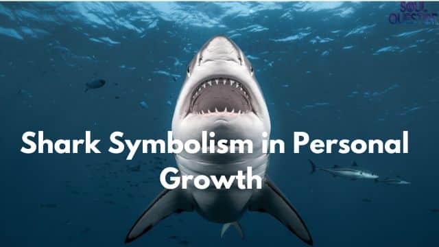 Shark Symbolism in Personal Growth