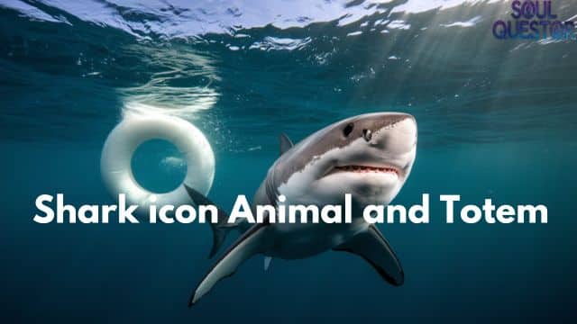 Shark icon Animal and Totem