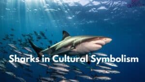 Sharks Spiritual Meaning: Unlock the Ocean's Powerful Symbolism - Soul ...