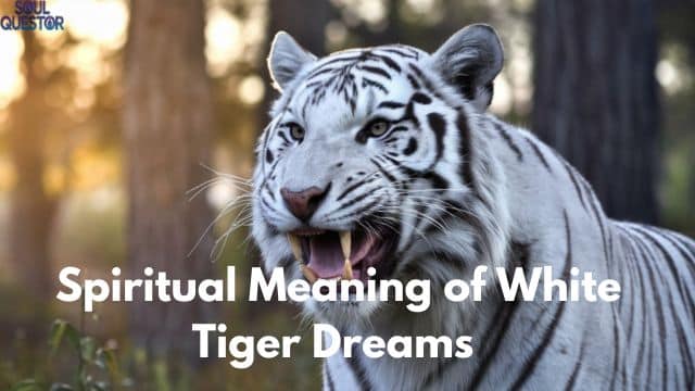 Spiritual Meaning of White Tiger Dreams