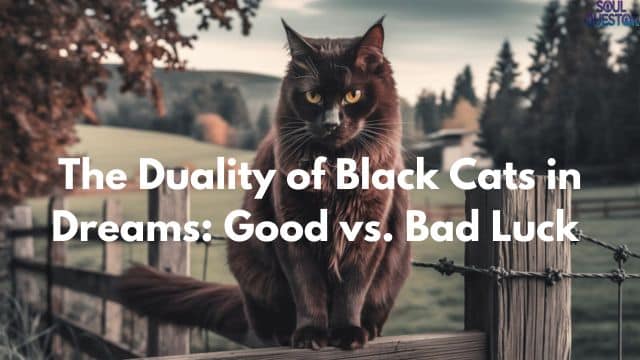 The Duality of Black Cats in Dreams: Good vs. Bad Luck