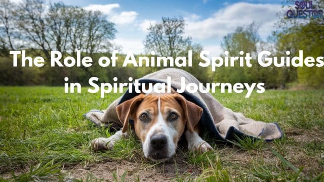 The Role of Animal Spirit Guides in Spiritual Journeys