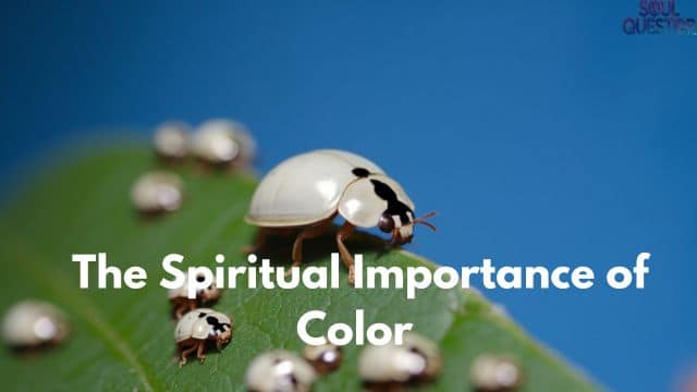 The Spiritual Importance of Color