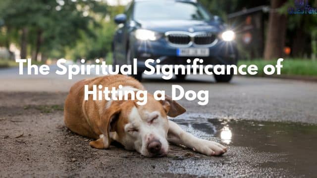 The Spiritual Significance of Hitting a Dog