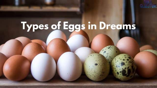 Types of Eggs in Dreams