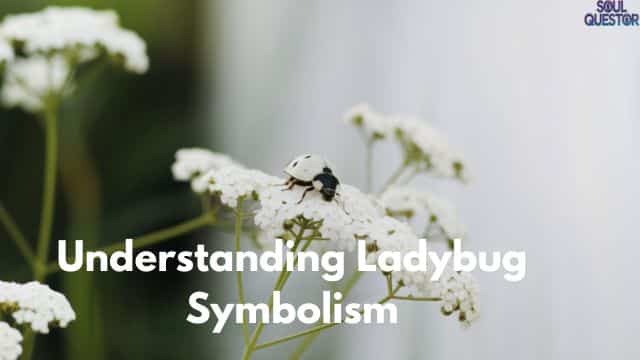 Understanding Ladybug Symbolism