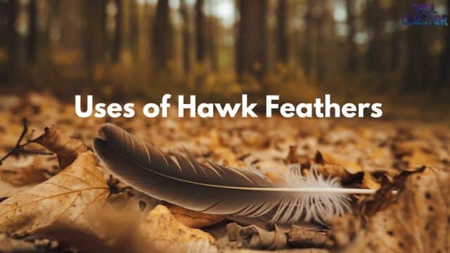 Uses of Hawk Feathers