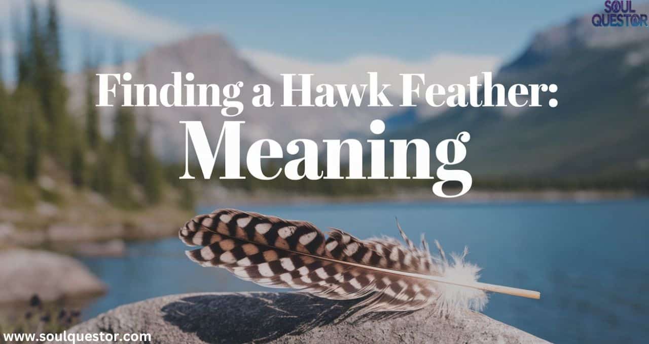 finding a hawk feather meaning