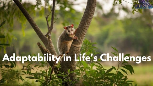 Adaptability in Life's Challenges