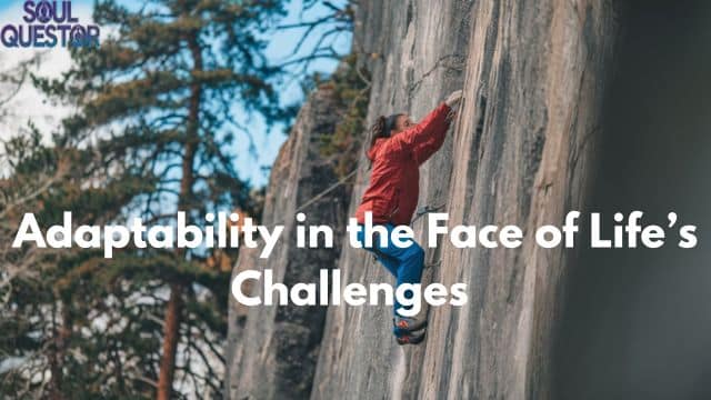 Adaptability in the Face of Life’s Challenges