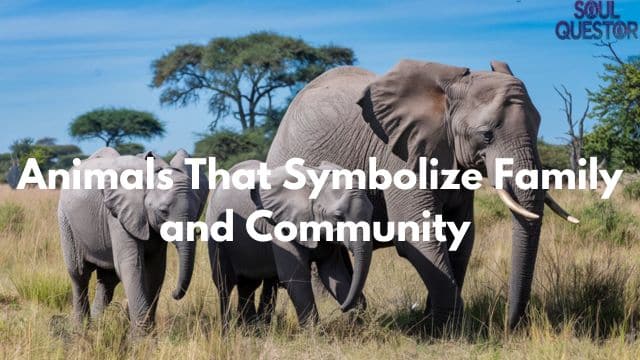 Animals That Symbolize Family and Community