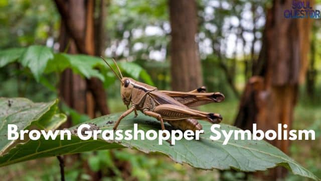 Brown Grasshopper Symbolism