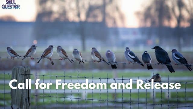 Call for Freedom and Release