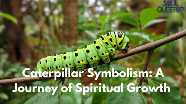 Caterpillar Symbolism: A Journey of Spiritual Growth