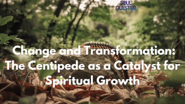 Change and Transformation: The Centipede as a Catalyst for Spiritual Growth