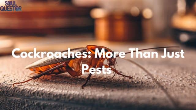 Cockroaches: More Than Just Pests