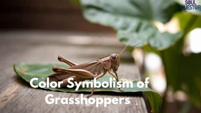 Color Symbolism of Grasshoppers