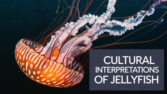 Cultural Interpretations of Jellyfish