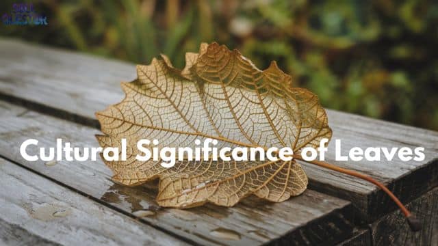 Cultural Significance of Leaves