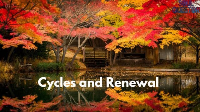 Cycles and Renewal