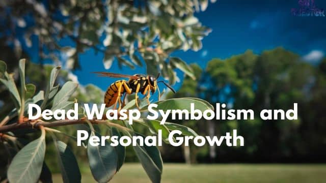 Dead Wasp Symbolism and Personal Growth