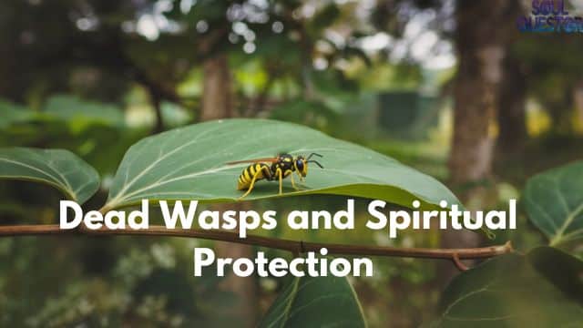 Dead Wasps and Spiritual Protection