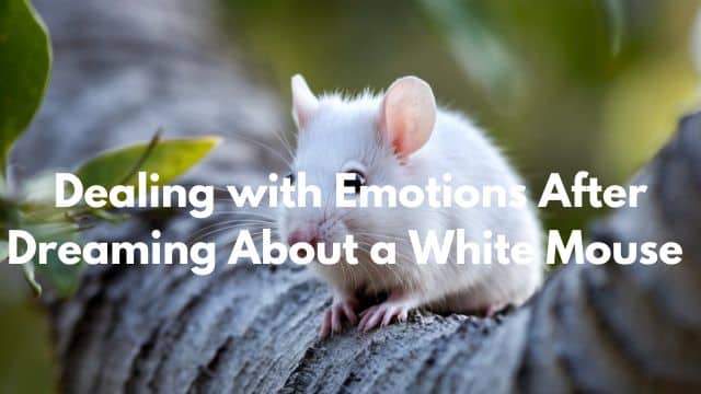 Dealing with Emotions After Dreaming About a White Mouse