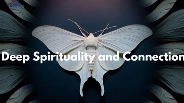 Deep Spirituality and Connection