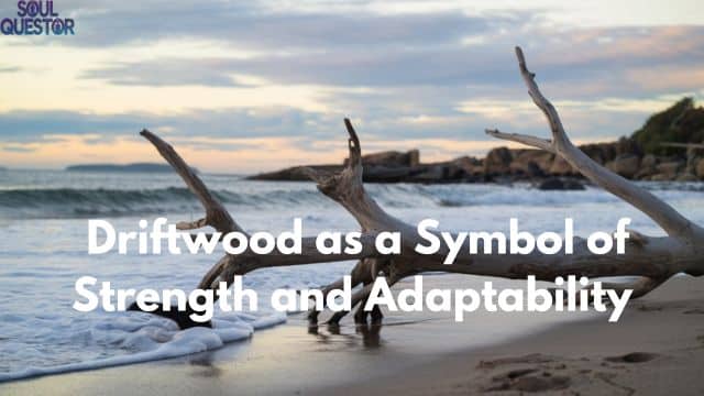 Driftwood as a Symbol of Strength and Adaptability