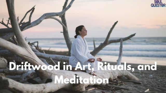 Driftwood in Art, Rituals, and Meditation