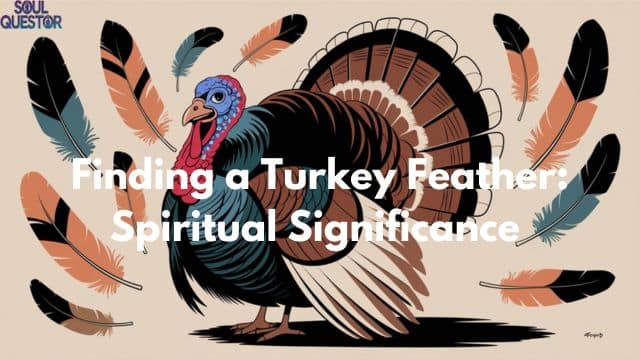 Finding a Turkey Feather Spiritual Significance