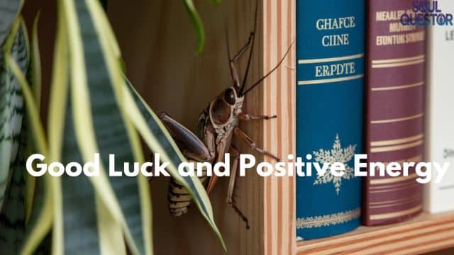 Good Luck and Positive Energy