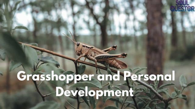 Grasshopper and Personal Development