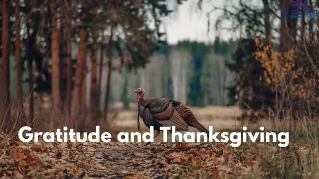 Gratitude and Thanksgiving