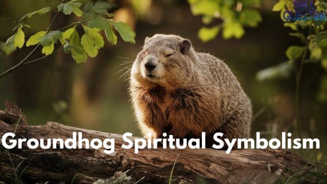 Groundhog Spiritual Symbolism