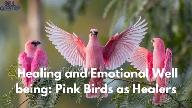 Healing and Emotional Well being Pink Birds as Healers