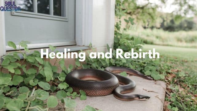 Healing and Rebirth