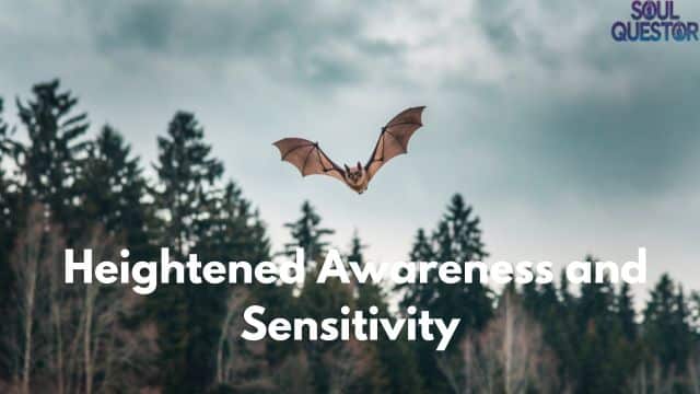 Heightened Awareness and Sensitivity