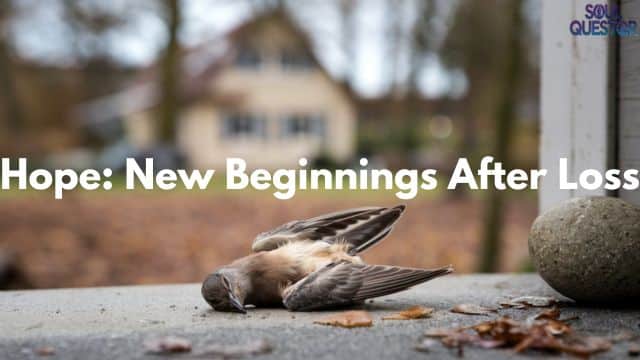 Hope: New Beginnings After Loss