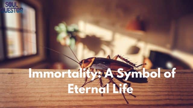 Immortality A Symbol of Eternal Life