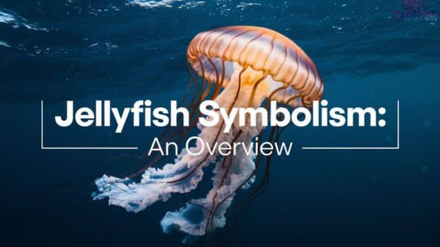 Jellyfish Symbolism An Overview